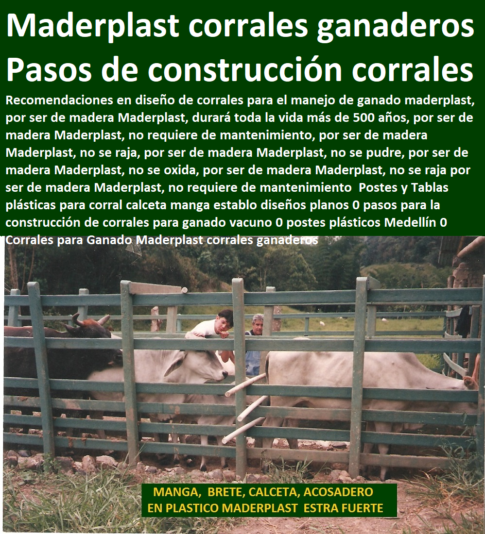 Caletas Bretes Mangas Apretaderos Ganaderos corral completo manejo de Ganado 0 corral tuberia para corral ganadero barata 0 corral calcetas para búfalos precios 0 Mangas De Coleo, Corral Caballerizas, Pesebreras De Caballos, Plaza Toros, Brete Ganadero, Apretaderos Embarcaderos, Postes Tablas, Polines Varetas, Mangas De Coleo, Horcones Madera Plástica, Corrales, Establos De Ganado, corral instalaciones bovinas pdf 0 corral modelos de establos Caleta 0 Caletas Bretes Mangas Apretaderos Ganaderos corral completo manejo de Ganado 0 corral tuberia para corral ganadero barata 0 corral calcetas para búfalos precios 0 corral instalaciones bovinas pdf 0 corral modelos de establos Caleta